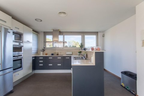 Купить дом в Вальроманес, Испания с 5 комнат, № 1419 - фото 20