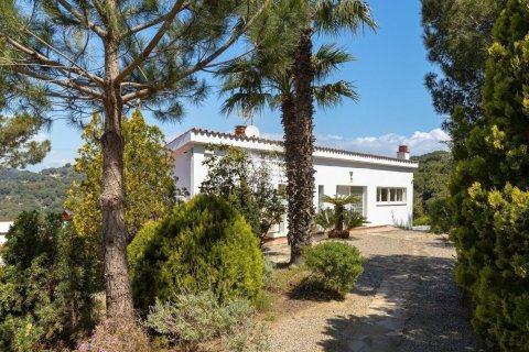 Купить дом в Алелья, Испания с 4 комнаты, 555м², № 1418 - фото 8