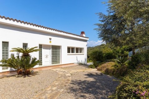 Купить дом в Алелья, Испания с 4 комнаты, 555м², № 1418 - фото 7