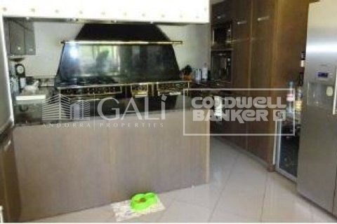 4 bedrooms villa for sale in Principado De Andorra (Ninguna Poblacion Tiene C.P.), Lleida, Catalonia, Spain № 6021 - photo 18