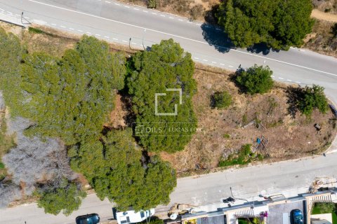 4 chambres villa à vendre à Vilassar de Dalt, Barcelona, Catalonia, Spain № 3963 - photo 14