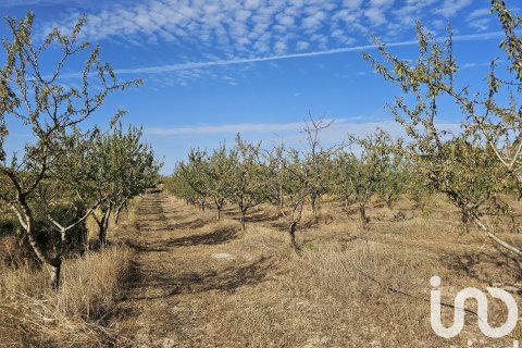 Купить коммерческую недвижимость в Гандеса, Испания № 4791 - фото 5