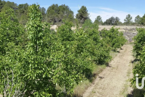 Купить коммерческую недвижимость в Гандеса, Испания № 4791 - фото 2