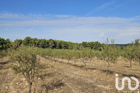 Купить коммерческую недвижимость в Гандеса, Испания № 4791 - фото 7