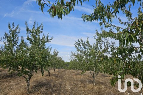 Купить коммерческую недвижимость в Гандеса, Испания № 4791 - фото 12