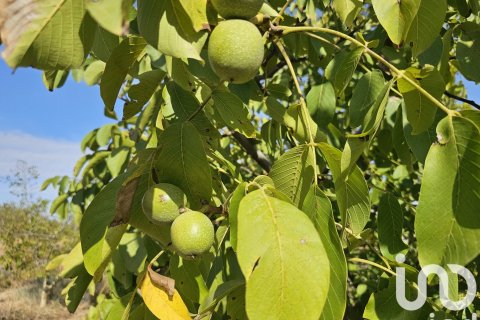 Купить коммерческую недвижимость в Гандеса, Испания № 4791 - фото 11