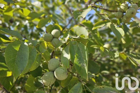 Купить коммерческую недвижимость в Гандеса, Испания № 4791 - фото 19