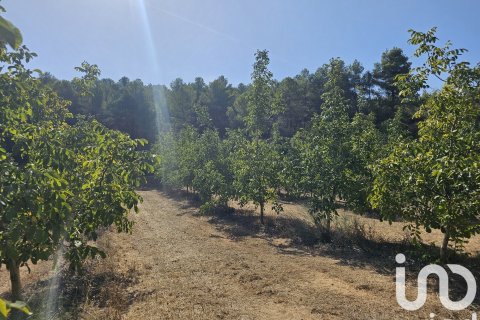 Купить коммерческую недвижимость в Гандеса, Испания № 4791 - фото 20