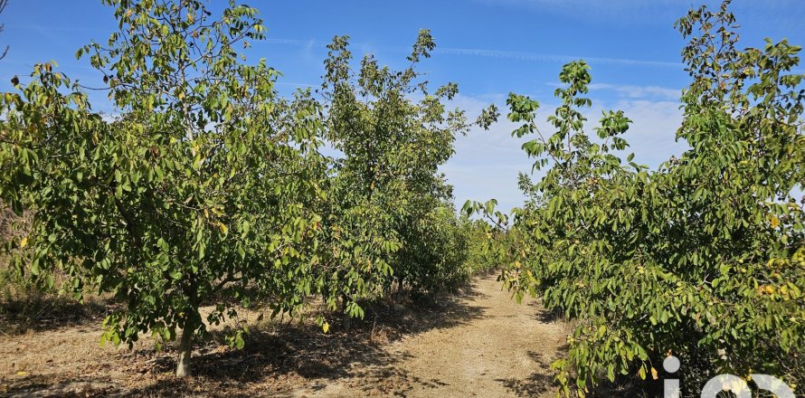 Коммерческая недвижимость в Гандесе, Таррагона, Каталония, Испания № 4791
