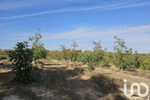 Купить коммерческую недвижимость в Гандеса, Испания № 4791 - фото 9