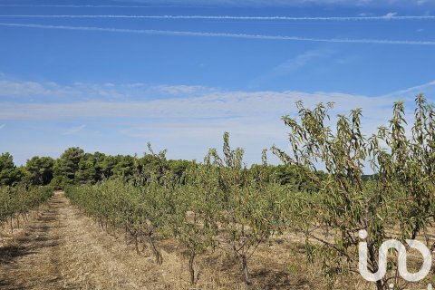 Купить коммерческую недвижимость в Гандеса, Испания № 4791 - фото 6