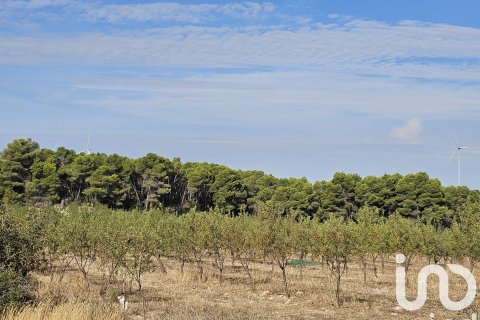 Купить коммерческую недвижимость в Гандеса, Испания № 4791 - фото 3