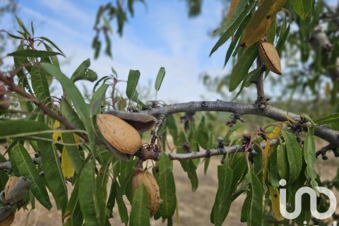 Купить коммерческую недвижимость в Гандеса, Испания № 4791 - фото 21