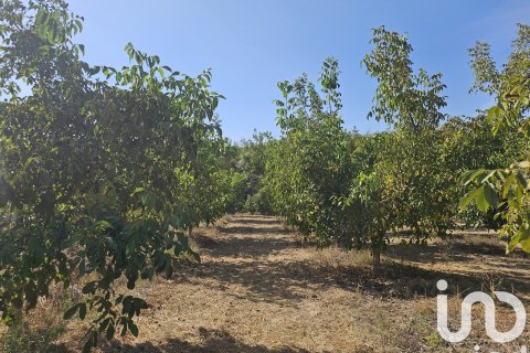 Купить коммерческую недвижимость в Гандеса, Испания № 4791 - фото 16