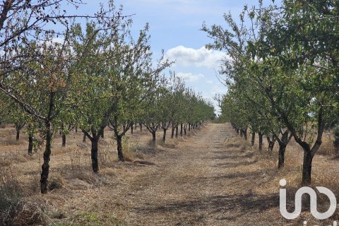 Купить коммерческую недвижимость в Гандеса, Испания № 4791 - фото 4