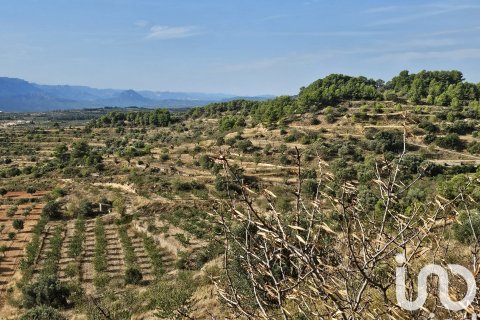 Купить коммерческую недвижимость в Гандеса, Испания № 4791 - фото 10