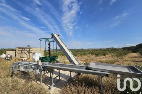 Купить коммерческую недвижимость в Гандеса, Испания № 4791 - фото 27