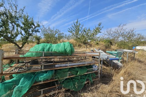 Купить коммерческую недвижимость в Гандеса, Испания № 4791 - фото 28