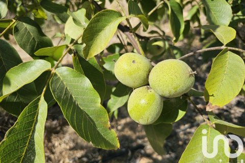 Купить коммерческую недвижимость в Гандеса, Испания № 4791 - фото 18