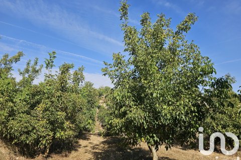 Купить коммерческую недвижимость в Гандеса, Испания № 4791 - фото 17