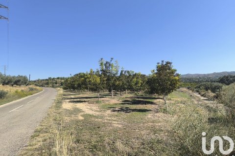 Купить земельный участок в Фликс, Испания 220000м², № 4789 - фото 23