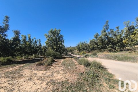 Купить земельный участок в Фликс, Испания 220000м², № 4789 - фото 25