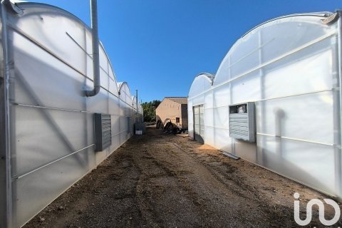 Земельный участок 220000м² в Фликсе, Таррагона, Каталония, Испания № 4789