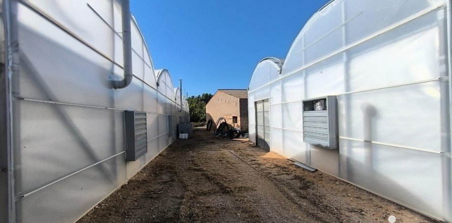 Земельный участок 220000м² в Фликсе, Таррагона, Каталония, Испания № 4789