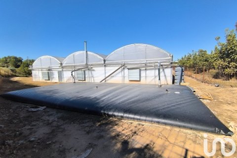 Купить земельный участок в Фликс, Испания 220000м², № 4789 - фото 6