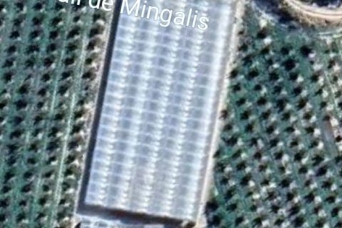 Купить земельный участок в Фликс, Испания 220000м², № 4789 - фото 3