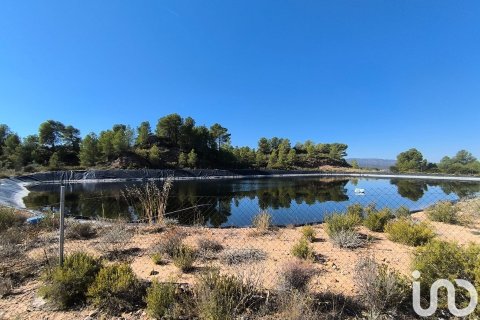 Купить земельный участок в Фликс, Испания 220000м², № 4789 - фото 7