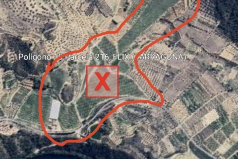 Купить земельный участок в Фликс, Испания 220000м², № 4789 - фото 2