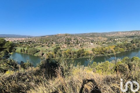 Купить земельный участок в Фликс, Испания 220000м², № 4789 - фото 27