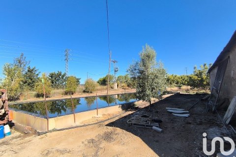 Купить земельный участок в Фликс, Испания 220000м², № 4789 - фото 8