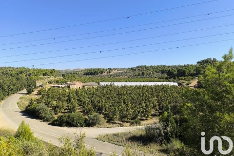 Купить земельный участок в Фликс, Испания 220000м², № 4789 - фото 22