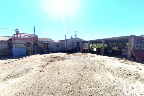 Купить земельный участок в Фликс, Испания 220000м², № 4789 - фото 11