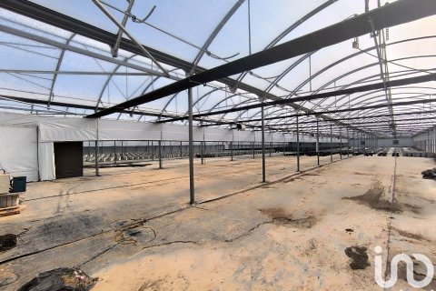 Купить земельный участок в Фликс, Испания 220000м², № 4789 - фото 5