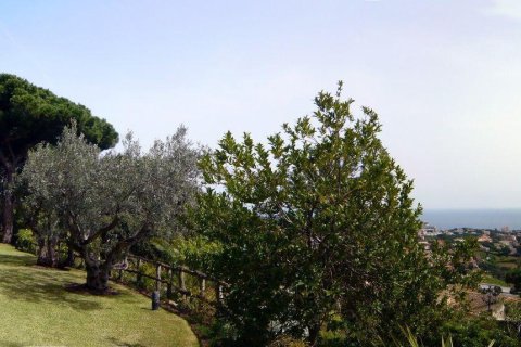 Купить дом в Пладжа-де-Аро, Испания с 14 комнат, № 1750 - фото 10