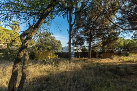 Купить земельный участок в Матаро, Испания № 1746 - фото 5