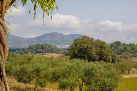 Вилла с 5 спальнями в Героне, Каталония, Испания № 2555