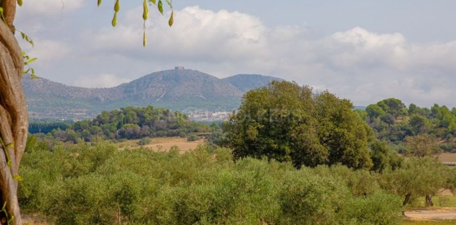 Villa de 5 dormitorios en venta en Gerona, Cataluña, Spain № 2555