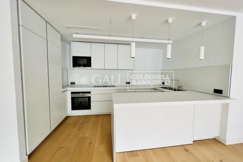 3 bedrooms apartment for rent in Principado De Andorra (Ninguna Poblacion Tiene C.P.), Lleida, Catalonia, Spain № 5260 - photo 10