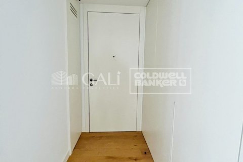 3 bedrooms apartment for rent in Principado De Andorra (Ninguna Poblacion Tiene C.P.), Lleida, Catalonia, Spain № 5260 - photo 26