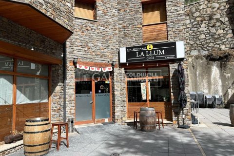 Коммерческая недвижимость 120м² в Принципате Андорре , Лерида, Каталония, Испания № 5262