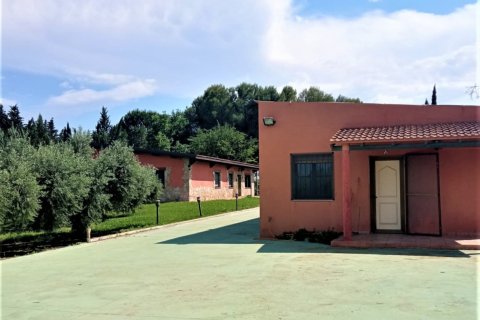 5 bedrooms house for sale in Mora d'Ebre, Tarragona, Catalonia, Spain № 4834 - photo 27