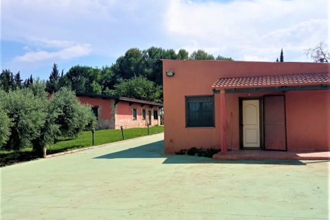 5 bedrooms house for sale in Mora d'Ebre, Tarragona, Catalonia, Spain № 4834 - photo 6