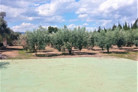 5 bedrooms house for sale in Mora d'Ebre, Tarragona, Catalonia, Spain № 4834 - photo 4