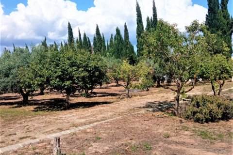 5 bedrooms house for sale in Mora d'Ebre, Tarragona, Catalonia, Spain № 4834 - photo 5