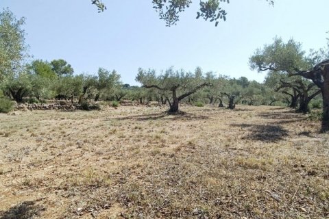 Купить дом в Л'Аметлья-де-Мар, Испания с 4 спальни, 255м², № 4838 - фото 14