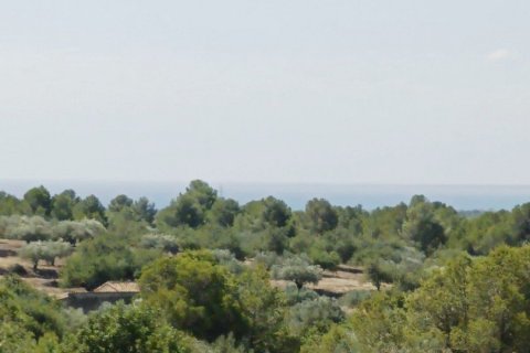 Купить дом в Л'Аметлья-де-Мар, Испания с 4 спальни, 255м², № 4838 - фото 20